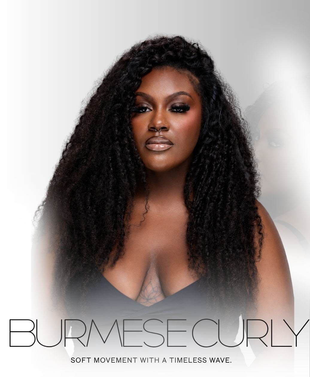 Burmese Curly