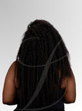 Burmese Curly - The Single