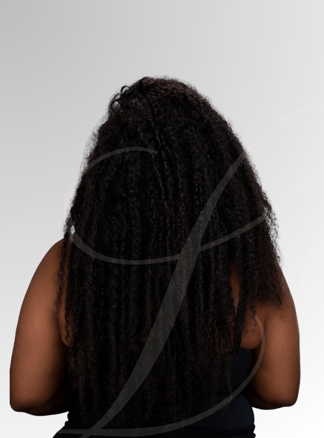 Burmese Curly - The Single